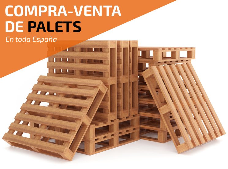 Servicios integrales de compra y venta de palets de madera europeos usados para empresas y operadores logísticos Donostia-San Sebastián (Guipúzcoa)