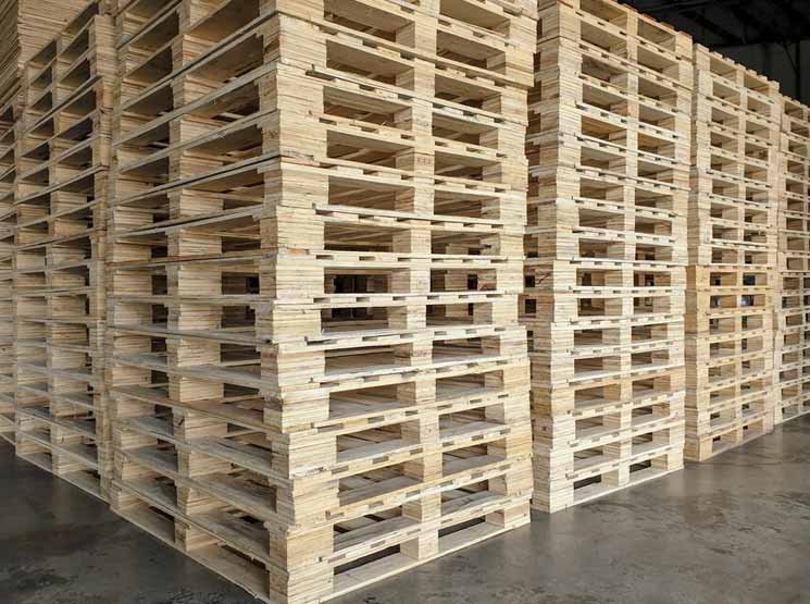 Palets de madera ecológicos para el transporte sostenible en Donostia-San Sebastián