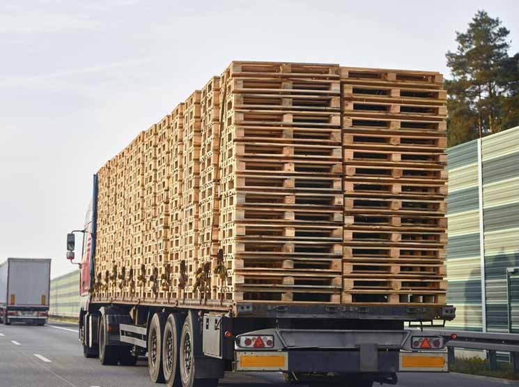 Tipos de palets de madera con distintas dimensiones en Donostia-San Sebastián y resto de Guipúzcoa